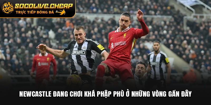 Newcastle đang chơi khá phập phù ở những vòng gần đây