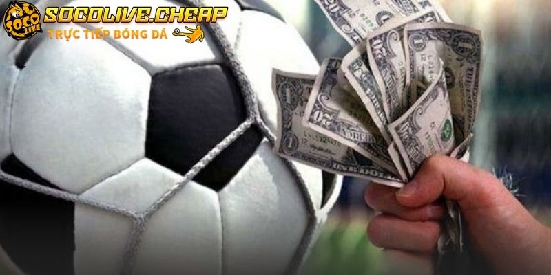 Socolive dựa vào tỷ lệ người chơi có thể đặt cược một cách hợp lý